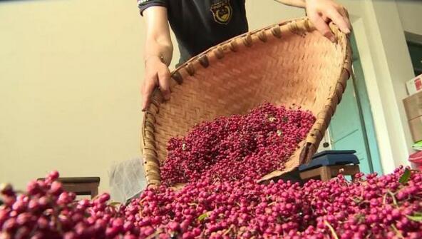 鮮花椒烘干機